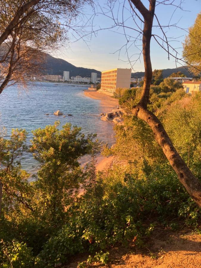 T2 Standing Ajaccio Apartment Аячо Екстериор снимка